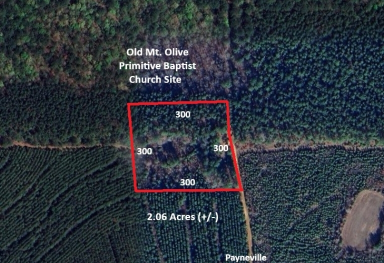 Two (2( Acres +/- Payneville/Millville Road Sumter County Alabama 